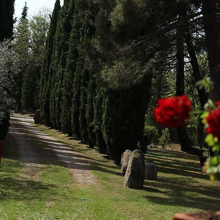 Villa L'Antica Pala Bucine Exterior foto