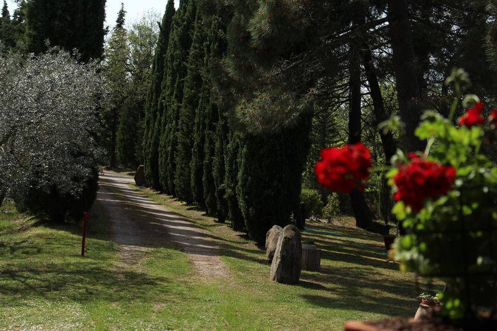 Villa L'Antica Pala Bucine Exterior foto